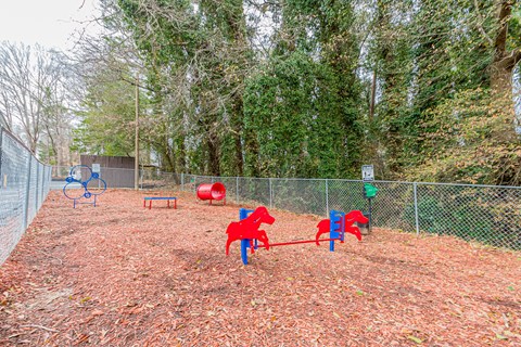 Dog Park Dog Park at Balfour Chastain, Georgia, 30342